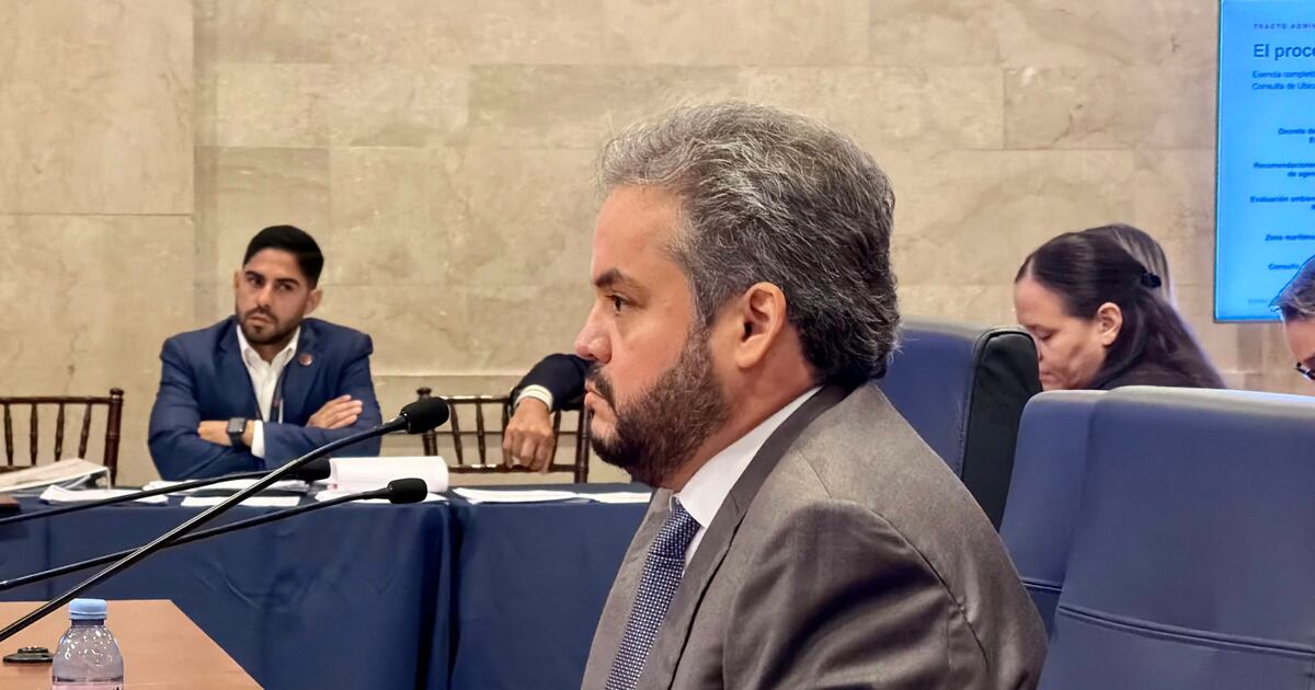 Roberto Ruiz Vargas, spokesperson for the Esencia project, testifies before the Puerto Rico Senate, Sept. 1, 2026