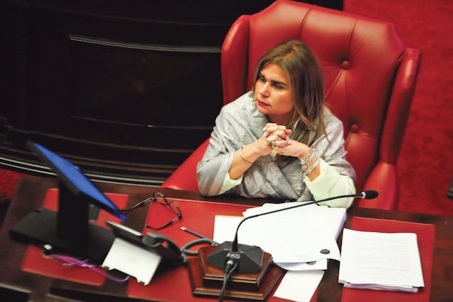 A contrarreloj el plan climático: Senado contempla prórroga