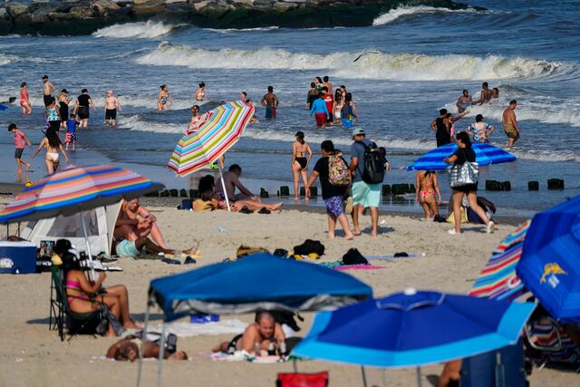 Tiburón muerde a una mujer mientras nadaba en playa de Nueva York