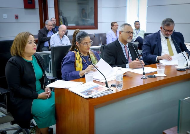 Procuradora de las Mujeres pide más fondos ante aumento de feminicidios