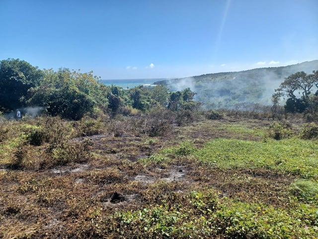 Bomberos atienden fuegos forestales en Ponce, Guayama, Peñuelas, Juana Díaz y Humacao