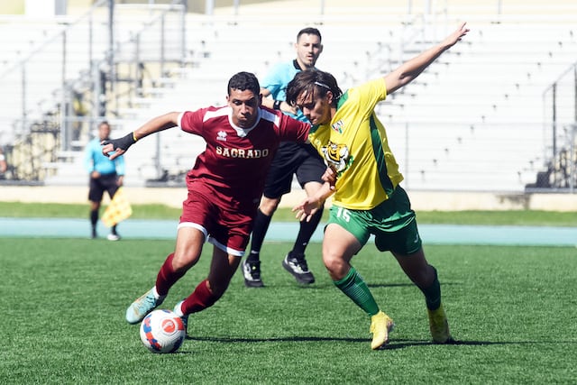 Determinantes las próximas semanas para equipos deportivos universitarios