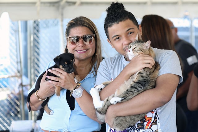 Atienden a cientos de gatos y perros en feria de vacunación en Carolina