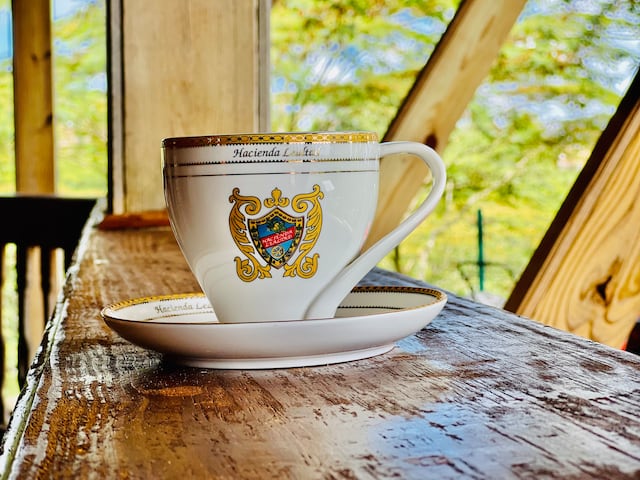 Café Bistro Lealtad: una experiencia única en el corazón de Lares