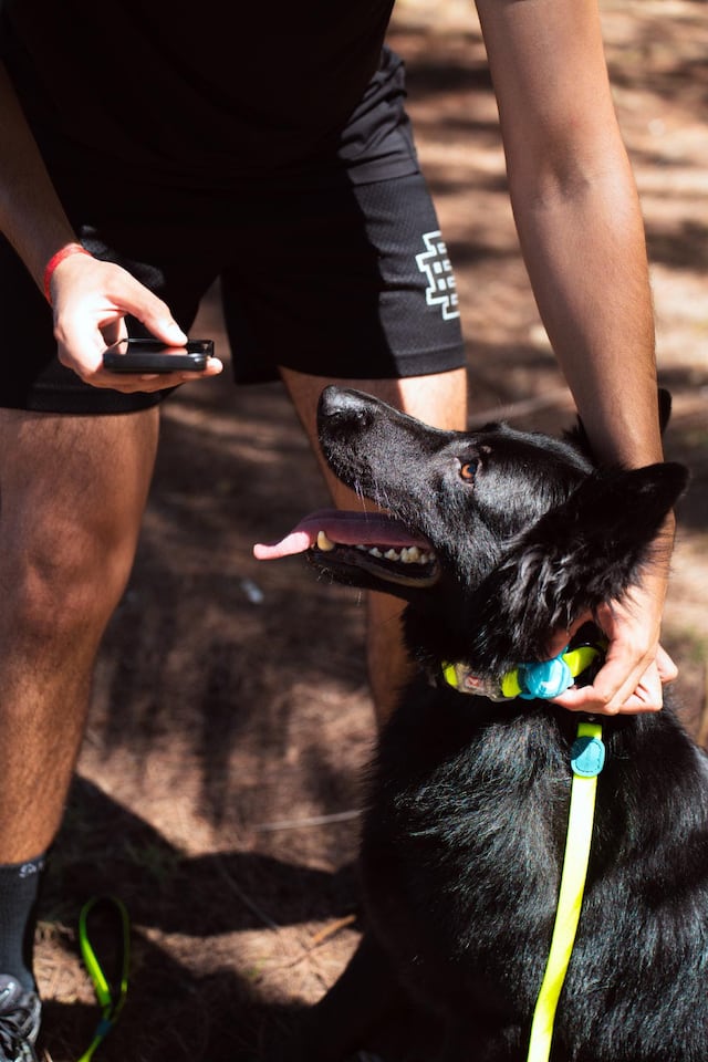 Presentan nuevas soluciones de seguridad para mascotas adaptadas al clima tropical