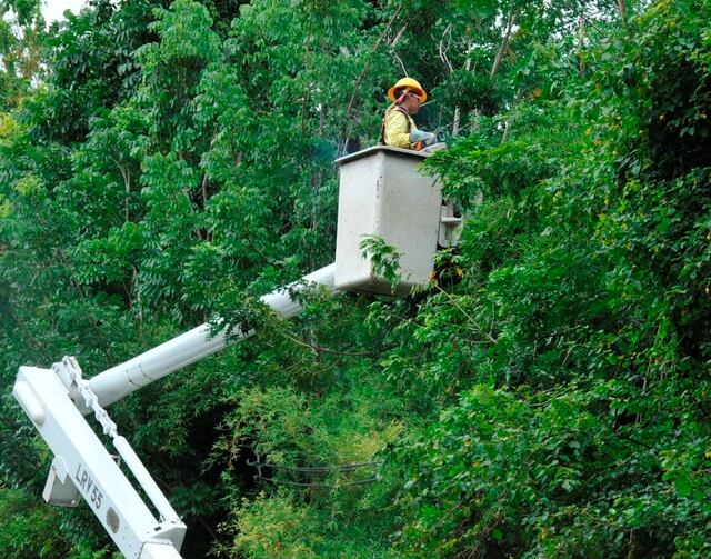 AEE anuncia desganche en área oeste