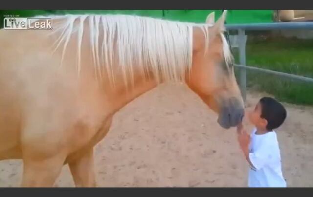 Niño con discapacidad doma caballo salvaje