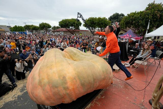Profesor  gana concurso con calabaza gigante y rompe récord mundial