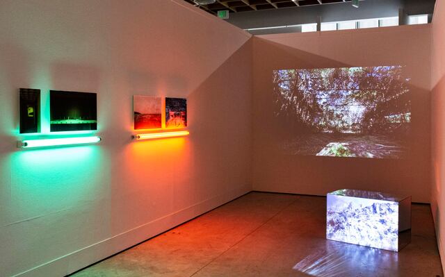 Inaugura exhibición El espacio común