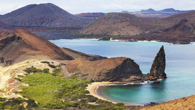 Observan tiburones primitivos en las islas Galápagos