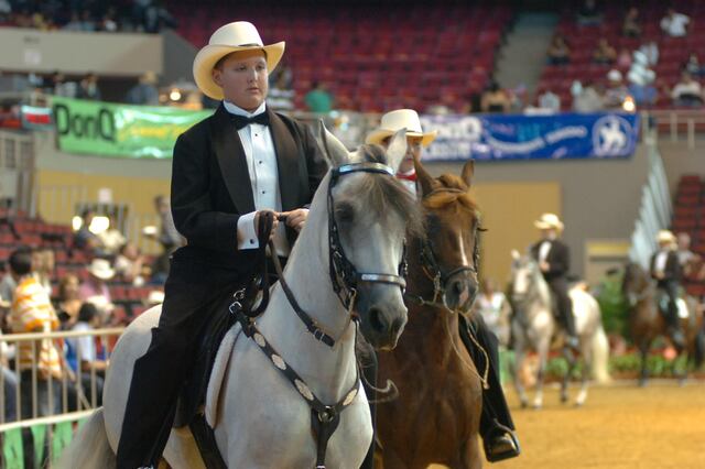A toda marcha preparativos para evento de paso fino Ponce Internacional
