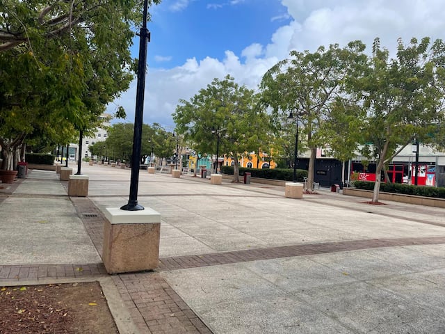 Bellas Artes de Caguas recibirá una subvención multianual de $40,000  para dar conciertos gratis