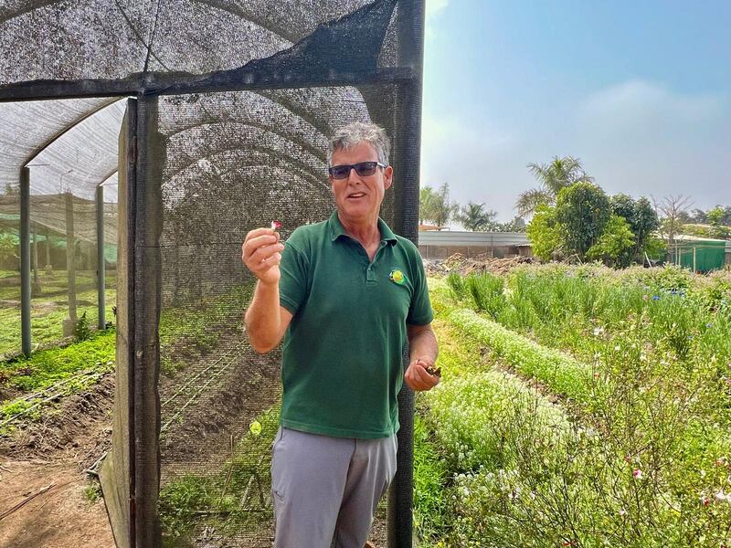 Alfonso Roda lidera los recorridos por el huerto, guiando a los visitantes a través de cultivos que son el corazón del proyecto y el punto de partida de una cocina que respeta el producto y honra la tierra.