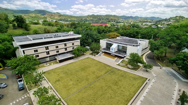UPR Cayey recibe subvención para investigar el dolor crónico tras lesiones cerebrales