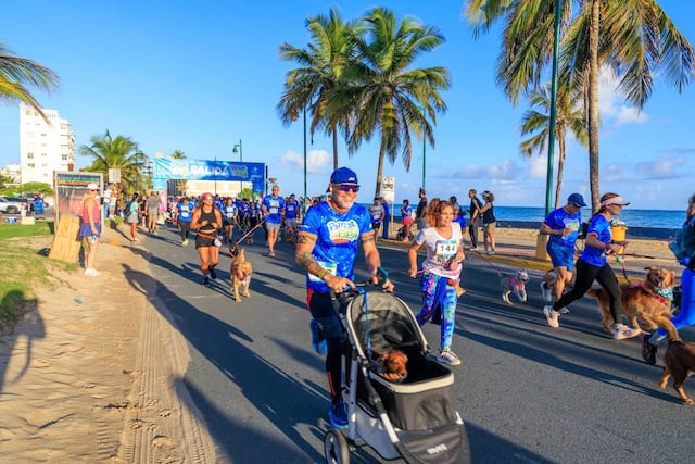 San Juan celebra la cuarta edición de “Patitas en la Pista”