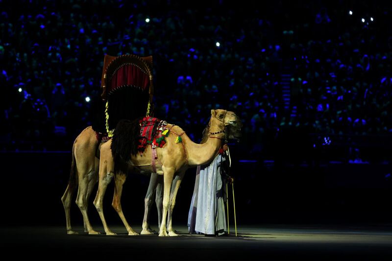 AL KHOR, QATAR - NOVEMBER 20: Camels are seen during the opening ceremony prior to the FIFA World Cup Qatar 2022 Group A match between Qatar and Ecuador at Al Bayt Stadium on November 20, 2022 in Al Khor, Qatar. (Photo by Lars Baron/Getty Images)