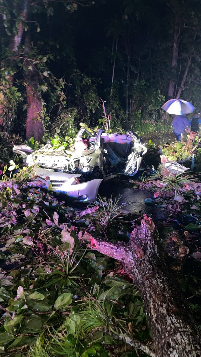 Fallece hombre en Toa Baja tras caerle árbol encima