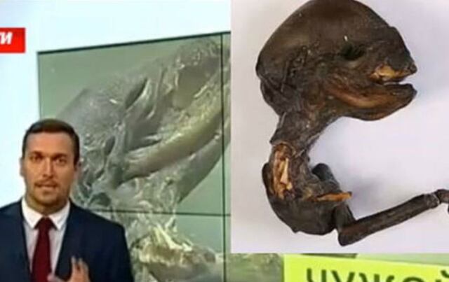 Supuesto cadáver alienígena causa polémica en Rusia