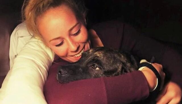 Tenebrosos detalles tras muerte de mujer devorada por sus perros