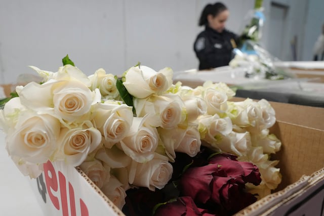Aeropuerto de Miami recibe 940 millones de flores antes de San Valentín