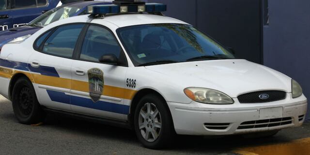 Arrestan a tres por armas y drogas en Arecibo