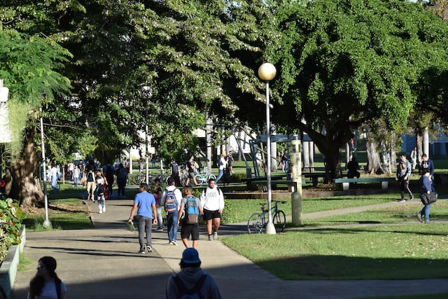 Candela en la UPR: Mayagüez también se va a paro