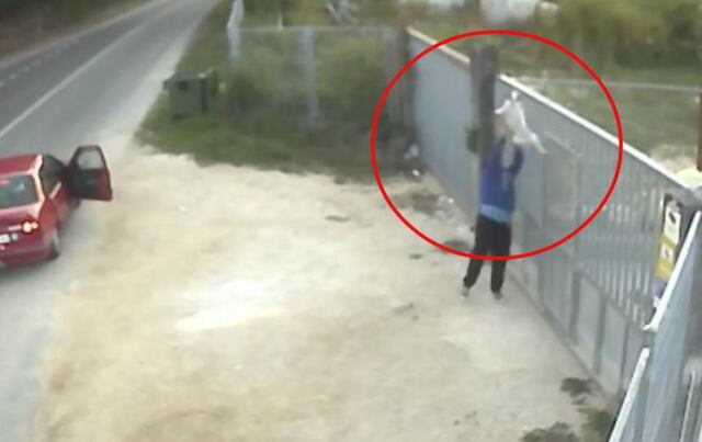 Cruel abandono a un perro causa conmoción en redes sociales