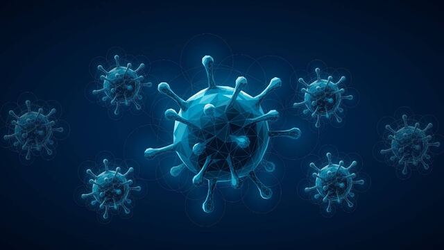 Organismo que puede alimentarse exclusivamente de virus se ha encontrado por primera vez en el mundo