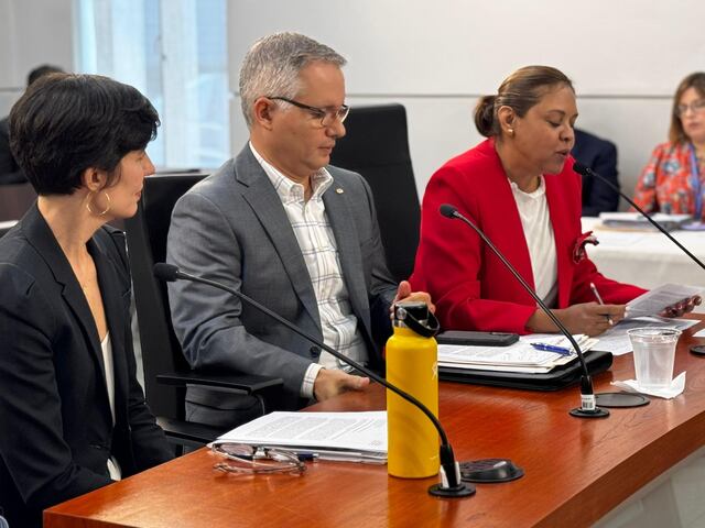 Buscan proteger el ambiente, pero también a los comerciantes