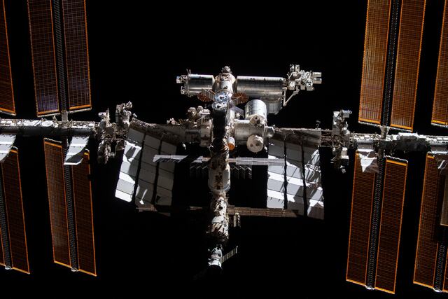 Investigación gestada en Puerto Rico sobre microgravedad en células madre llegará a la ISS