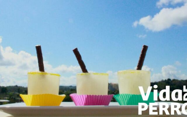 Recomendaciones para que tu perro no muera de calor