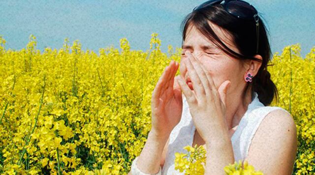 ¿Alergia al polen de árboles? Conoce como combatirla