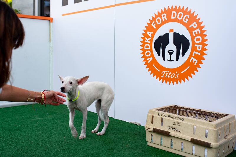 Tito’s Handmade Vodka reafirma su compromiso con 
el bienestar animal en Puerto Rico