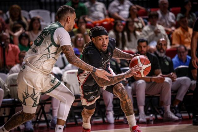 Leones, Criollos y Osos logran triunfos el domingo en el BSN