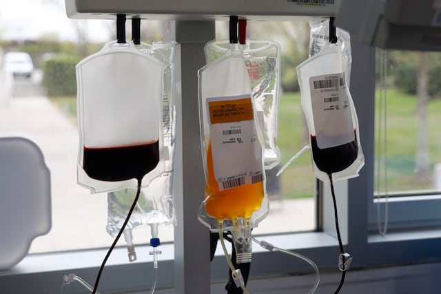 Centro Comprensivo de Cáncer convoca a donar sangre a pacientes de leucemia