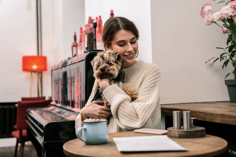 Celebra el Día del Perro con tu mascota.