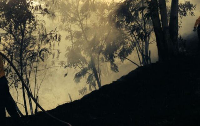 Se desatan varios fuegos forestales en el sur