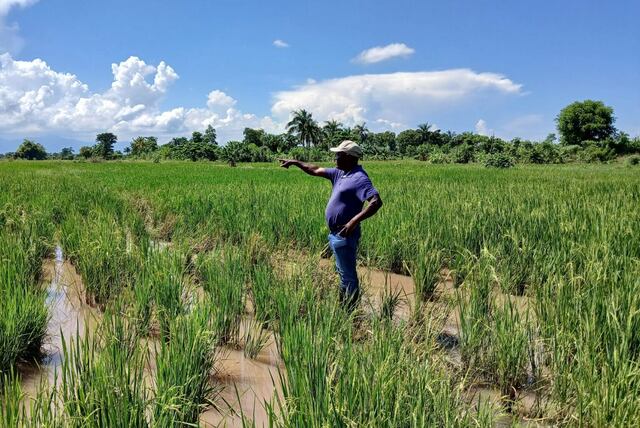 El canal “imparable”: la apuesta de una comunidad haitiana para sobrevivir a la sequía