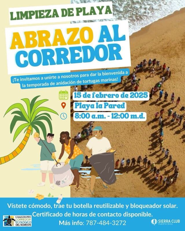 Invitan a limpieza de playas en preparación a próxima temporada de anidaje del tinglar