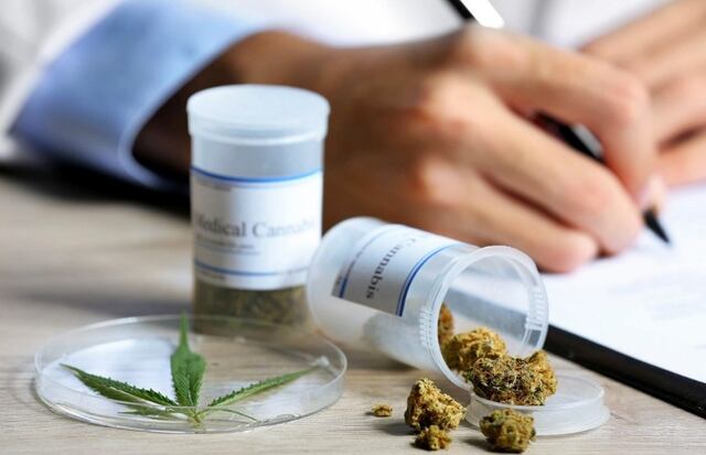 Compañía de cannabis medicinal se compromete a educar sobre la nueva ley