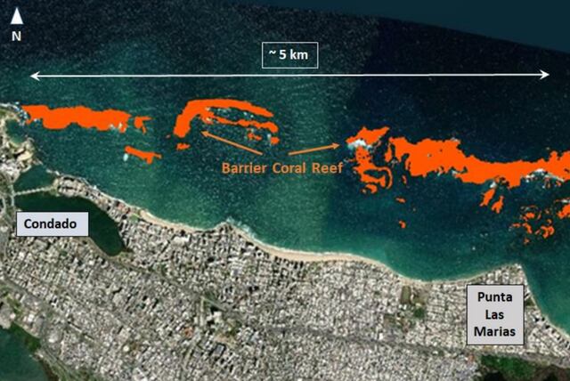 Cuestionan propuesta para restaurar la barrera de arrecifes de coral de San Juan