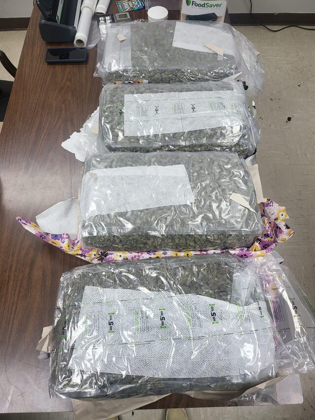¡Sorpresa! Arrestan en Dorado a mujer que llevaba marihuana envuelta en papel de regalo