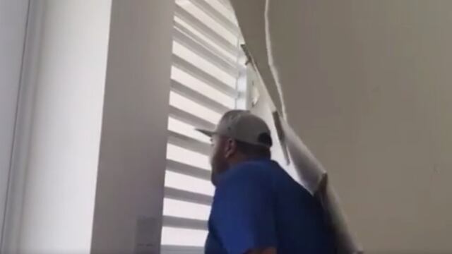 Molusco ve llegada de la estadidad desde su ventana