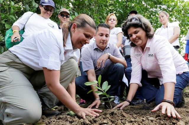 Primera dama lidera plan de reforestación de las cuencas hidrográficas