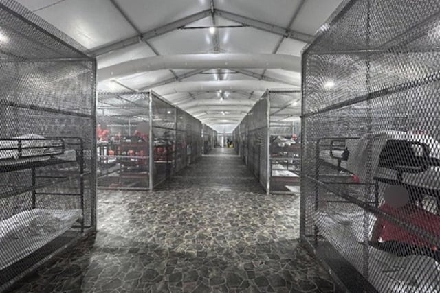 Investigación revela hacinamiento y abusos contra migrantes en Alligator Alcatraz