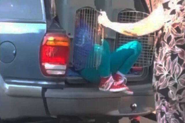 Abuela transportaba a sus nietos en jaula para perros