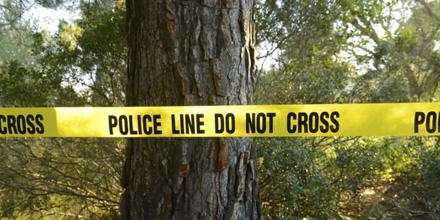 Hallan cadáver de joven en solar boscoso de Cayey