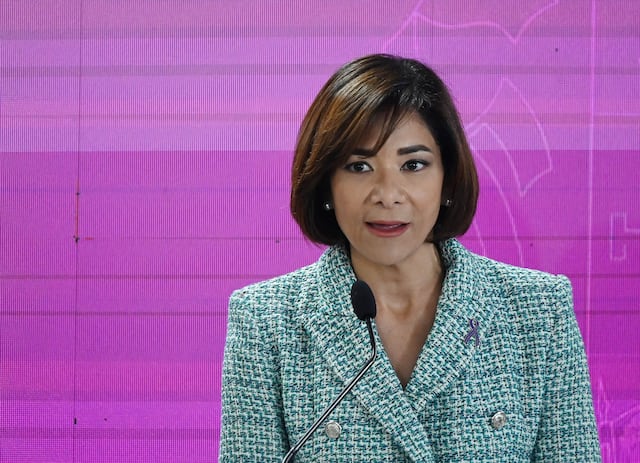 Justicia se escuda en que ley no requería referir caso de Suzzane Roig al FEI