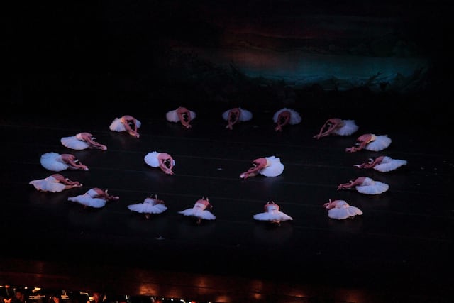 Ballet Concierto de Puerto Rico celebra 45 años de trayectoria con “El Lago de los Cisnes”
