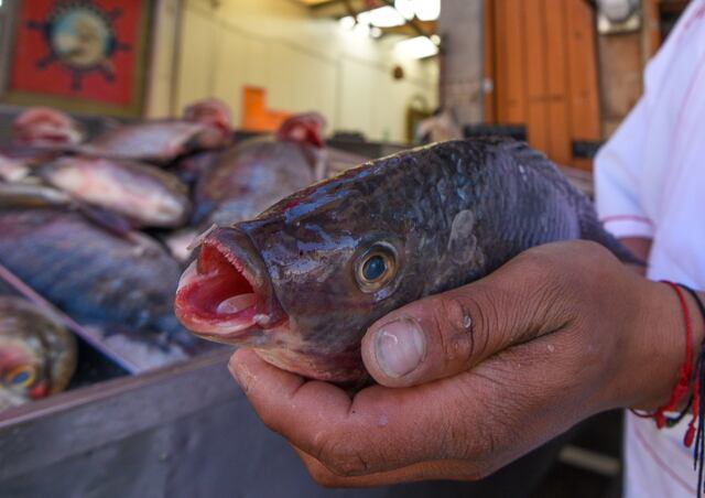 Amputan los brazos y piernas de mujer que comió pescado infectado